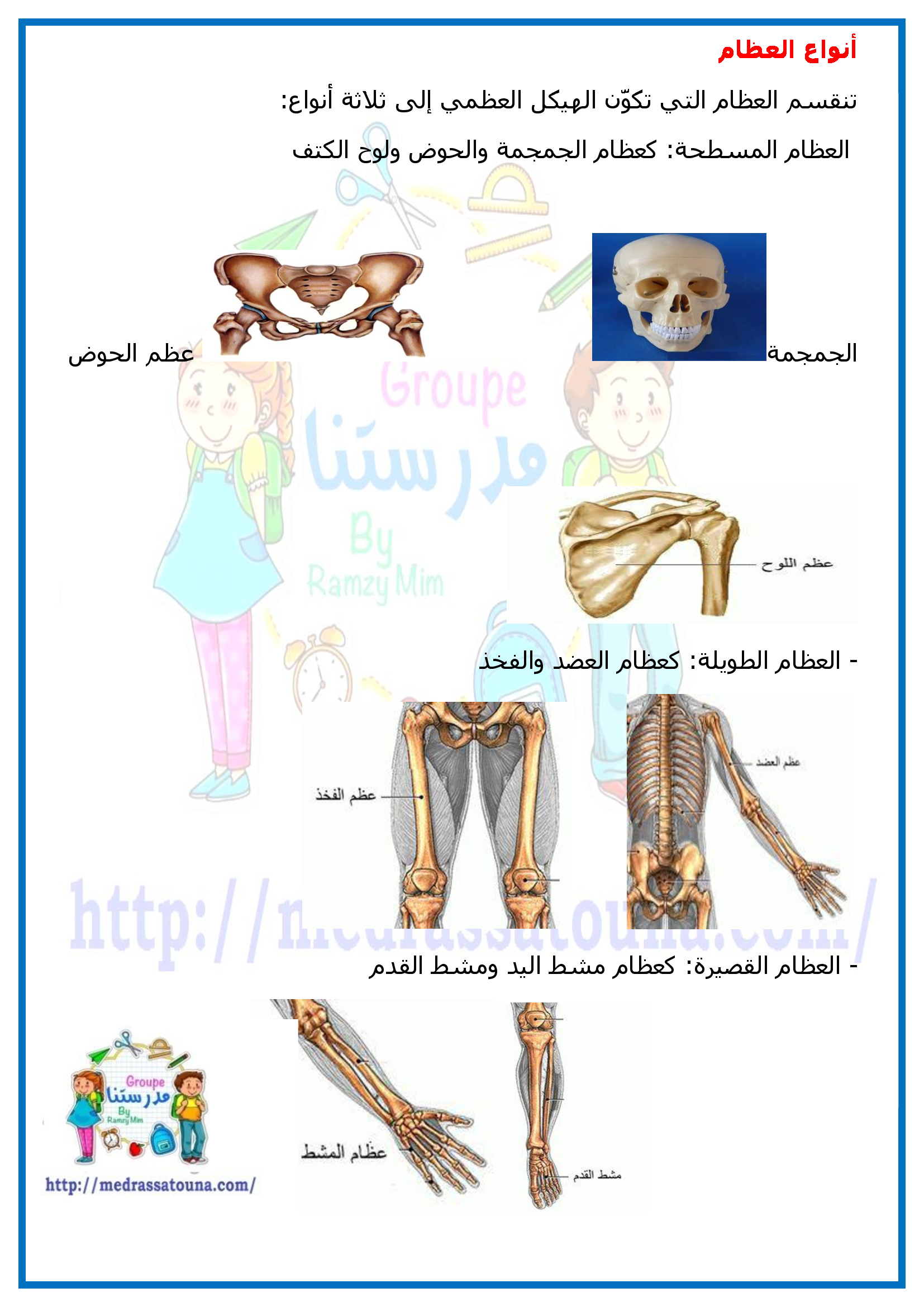 الهيكل العظمي وأنواع العظام - مدرستنا