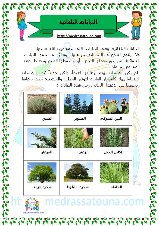 انواع النباتات بالصور والاسماء Pdf